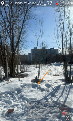 IMG 9825.jpg