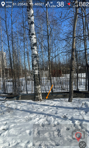 IMG 9826.jpg