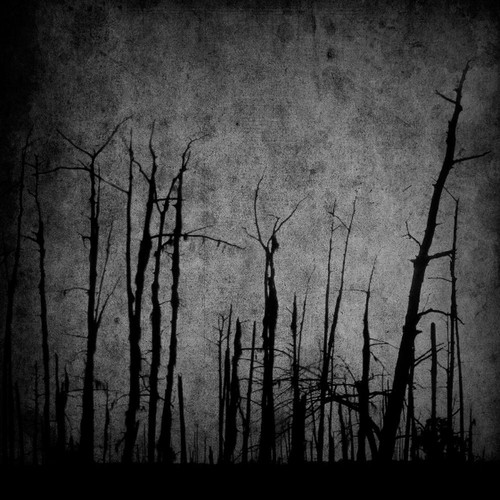 1000x1000.jpg