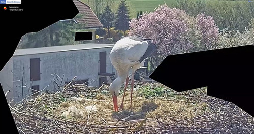 MWSnap839.jpg