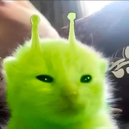 b7d0abe0d315.jpg