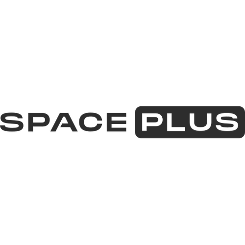 processed decal wordmark.png