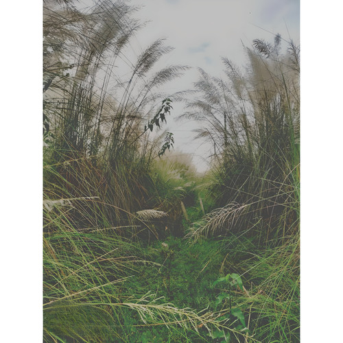 9e5bb88069f0.jpg