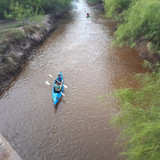 kayak