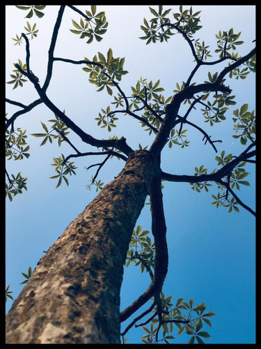 f2c53f25be0d.png