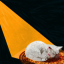 cf2150029564.png