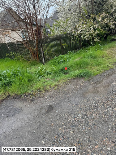 photo.jpg