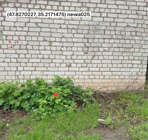 photo.jpg