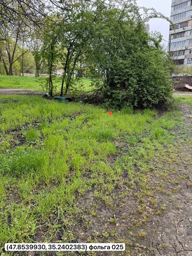 photo.jpg