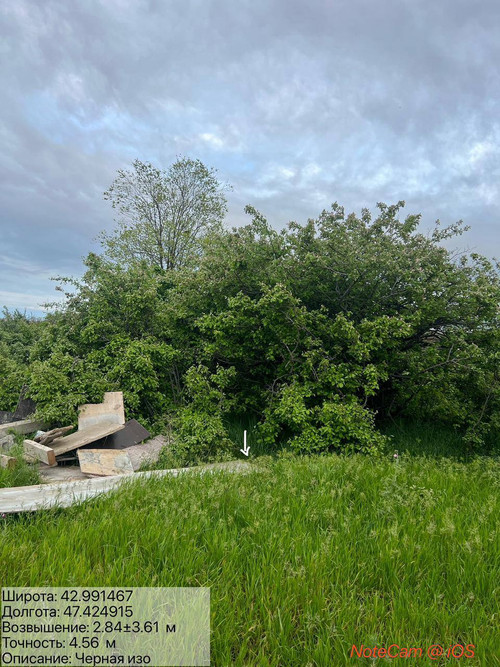 photo 5 2026 04 22 01 34 09.jpg