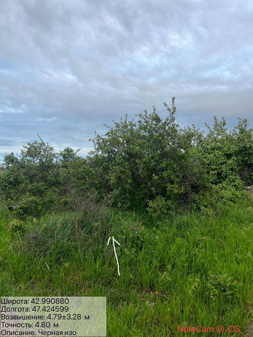 photo 6 2026 04 22 01 34 09.jpg