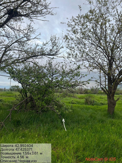 photo 7 2026 04 22 01 34 09.jpg