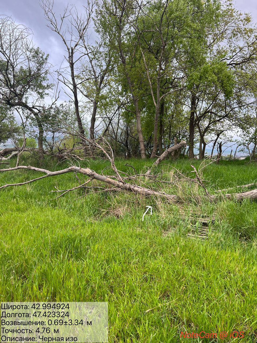 photo 13 2026 04 22 01 34 09.jpg