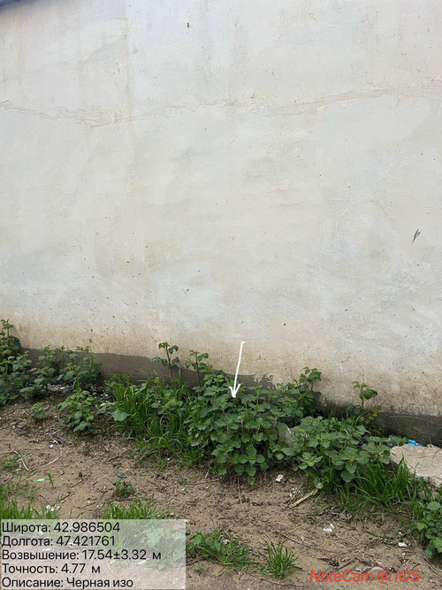 photo 22 2026 04 22 01 34 09.jpg