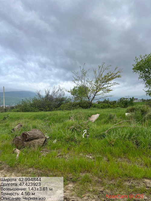 photo 15 2026 04 22 01 34 09.jpg