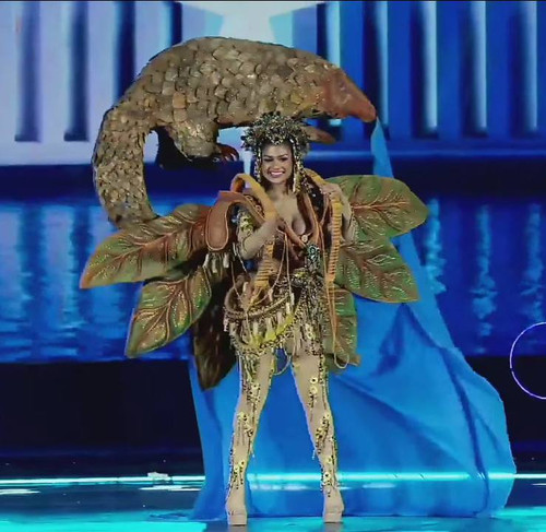 674242476 1273837184938612 7870353305456656131 n.jpg? nc cat=108&ccb=1 7& nc sid=7b2446& nc ohc=iwML.jpg