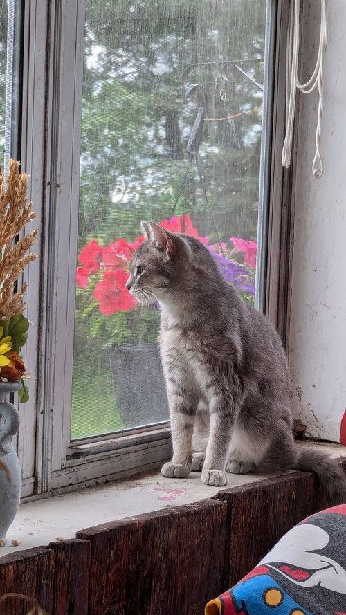 675366921 122196616928561490 393463600625659724 n.jpg