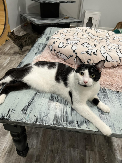 672683307 1535871101235582 8261327951179035349 n.jpg