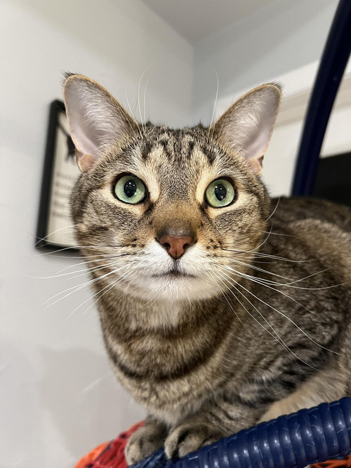 674508002 1537532984402727 4762570336421291677 n.jpg