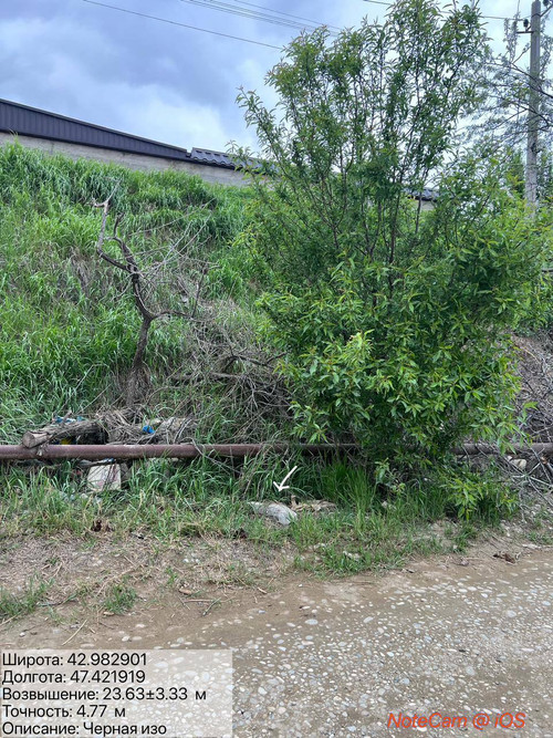 photo 2 2026 04 22 01 34 09.jpg