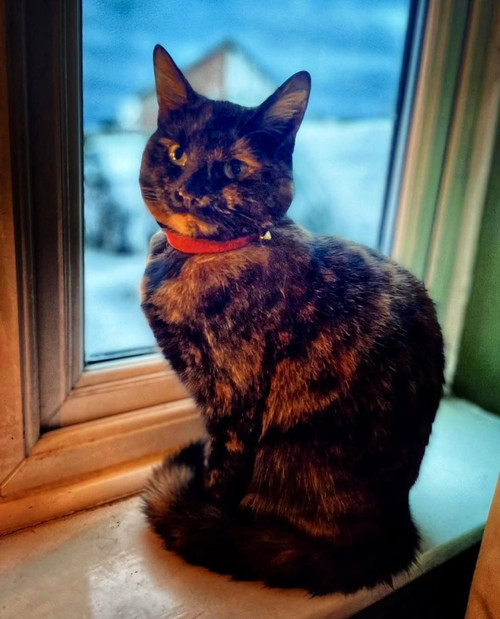 677257886 122196617066561490 6246340255260154246 n.jpg