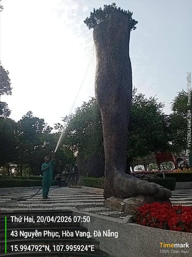 a9df57209d41.jpg