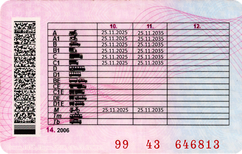 КУРОГАШЕВ2.png