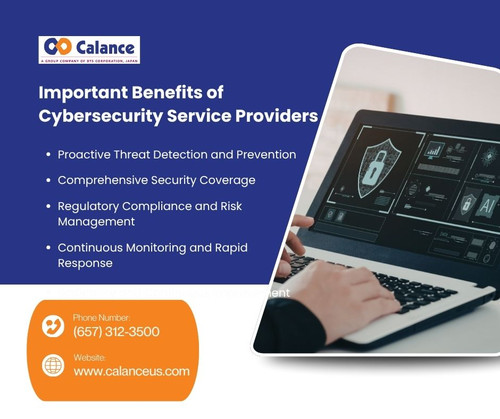 Important Benefits of Cybersecurity Service Providers.jpg