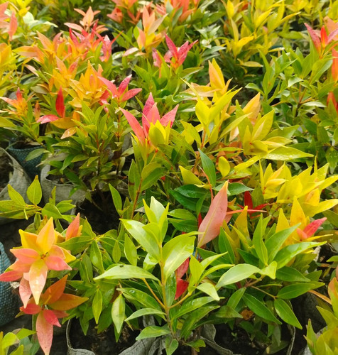 WhatsApp Image 2025 12 27 at 7.53.47 PM.jpg