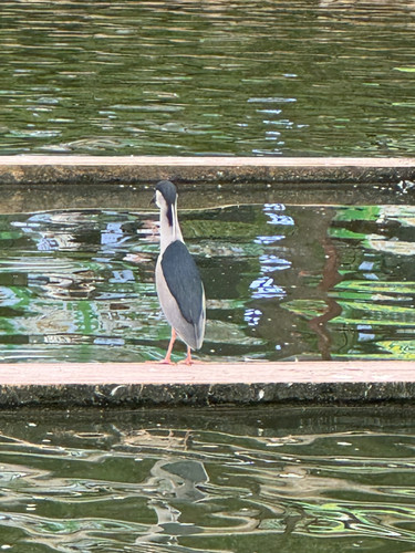 IMG 0825.jpg