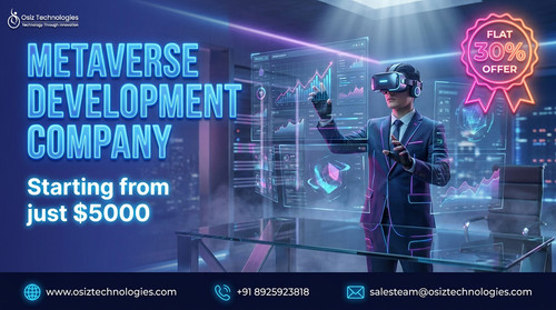METAVERSE DEVELOPMENT COMPANY.jpg