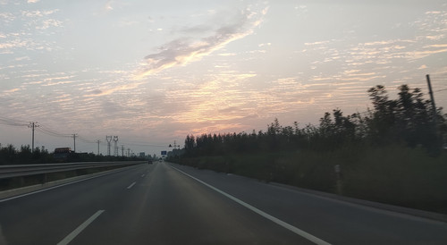 1000295361.jpg