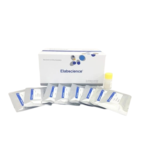 elabscience e to c006 afb1 aflatoxin b1 lateral flow assay kit 50t 1000x1000 removebg preview.png