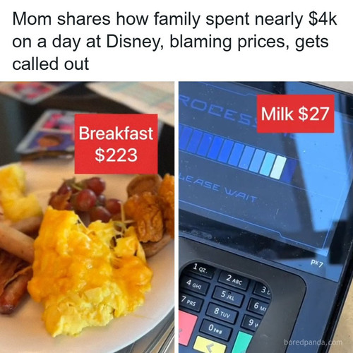 mom shares disney world day cost.jpg