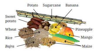 Screenshot 2026 04 21 165721.png