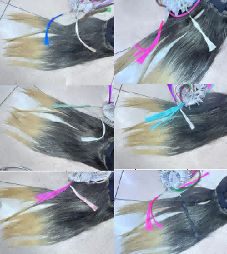 68781904c7e7.png