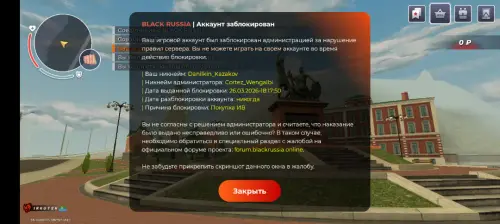 1000032307.webp
