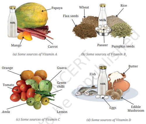 Screenshot 2026 04 21 170537.png