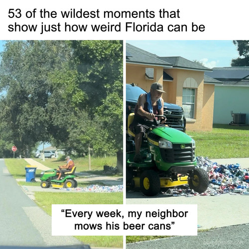 wild florida moments.jpg