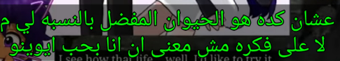 temp.png