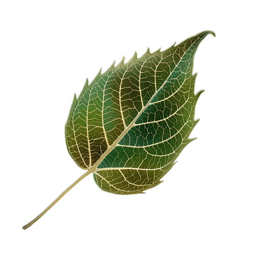 76f50391ea40.png