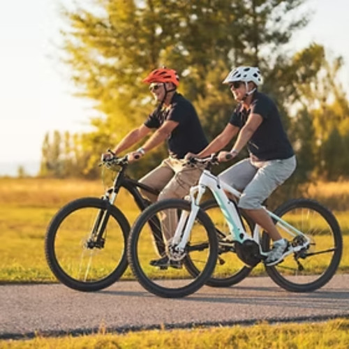 bike shops auckland   ||.jpg