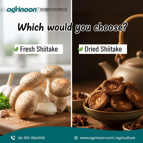 Fresh or Dried Which Shiitake Wins Your Plate?.jpg