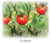 Screenshot 2026 04 21 103058.png