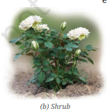 Screenshot 2026 04 21 103050.png