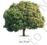 Screenshot 2026 04 21 103043.png