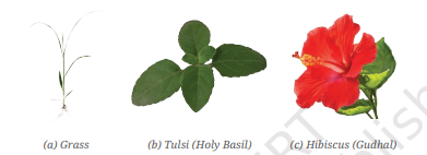 Screenshot 2026 04 21 095238.png