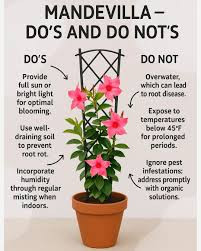 download (31).jpg