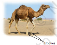 Screenshot 2026 04 21 104339.png