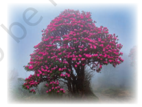 Screenshot 2026 04 21 104354.png